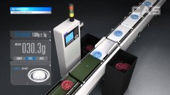 米兰体育网站官网檢重秤精度發展曆史